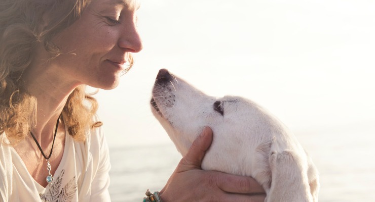 Do Dogs Know When You’re Sad? 5 Ways Your Dog Senses your Mood