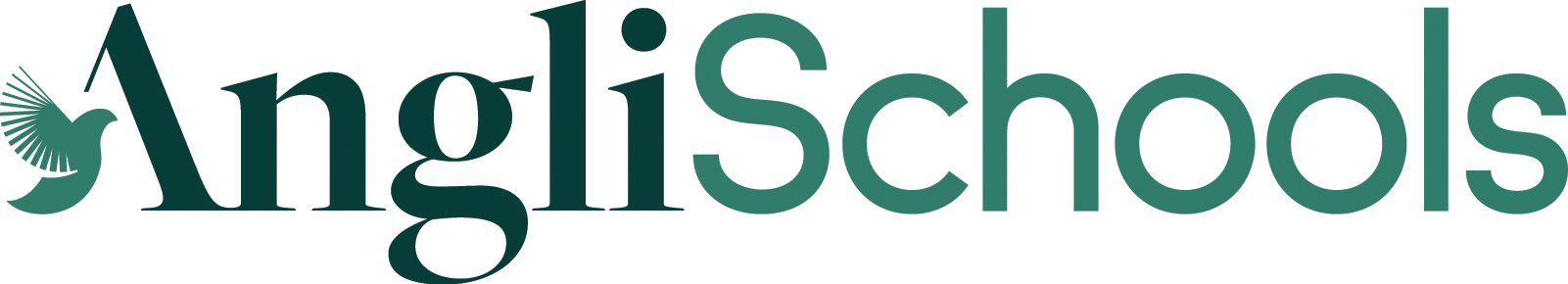 AngliSchools logo