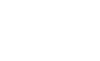 Perth Wildcats Logo