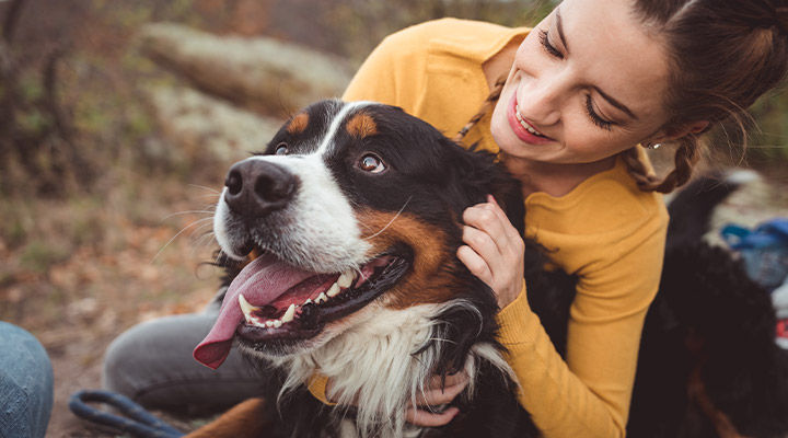 Connect with your pet