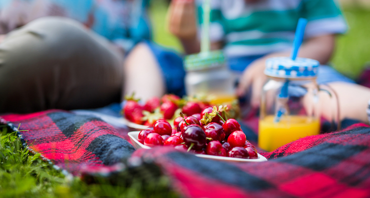 picnic whilst pregnant
