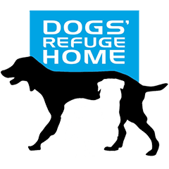 Dogs’ Refuge Home